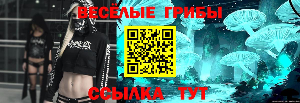где найти   Галлюциногенные грибы Magic Shrooms  Серпухов  Вход с VPN  Галлюциногенные грибы GOLDEN TEACHER 